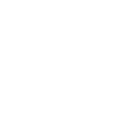 Suculentas Maravilhosas